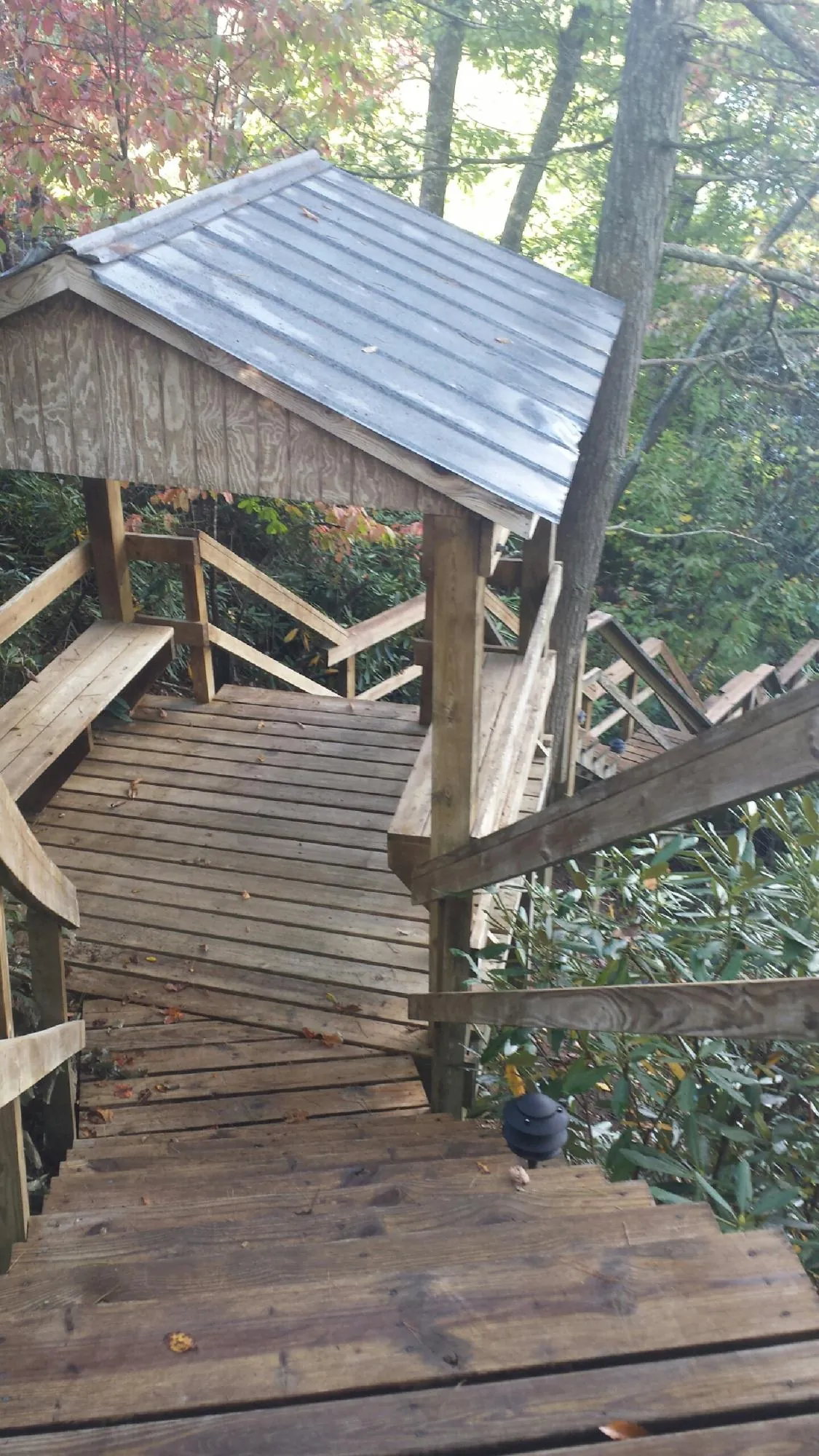 Metal roofed shelter over wooden steps on a wooded walkway — Skylight Repair & Installation work by our crew in Williams Bay
